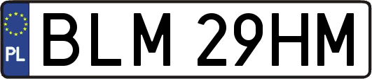 BLM29HM