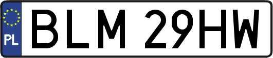 BLM29HW
