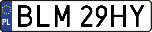BLM29HY