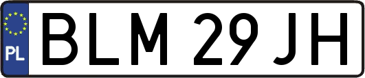 BLM29JH