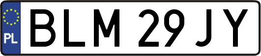 BLM29JY