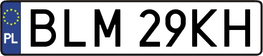 BLM29KH