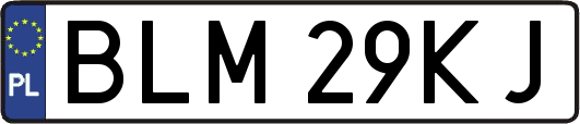 BLM29KJ