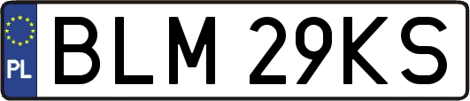 BLM29KS