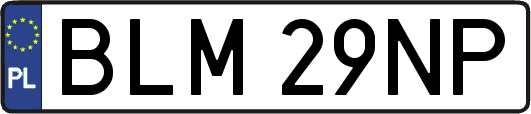 BLM29NP