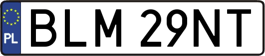 BLM29NT