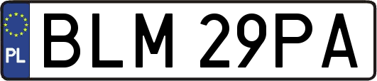 BLM29PA