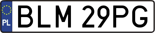 BLM29PG