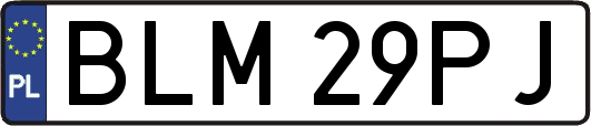 BLM29PJ