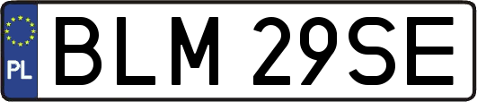 BLM29SE