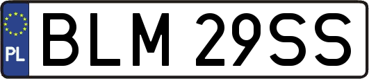 BLM29SS