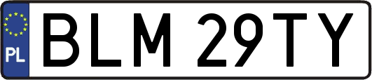 BLM29TY