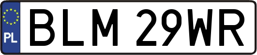 BLM29WR