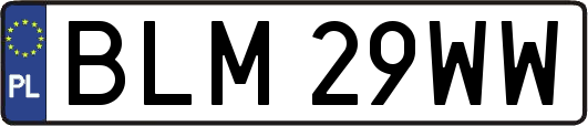 BLM29WW