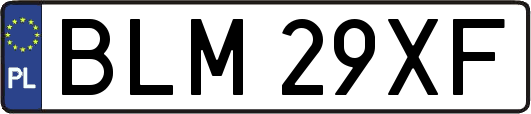 BLM29XF