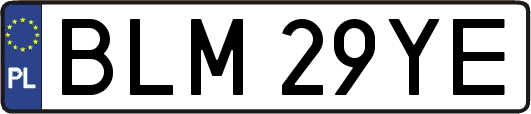 BLM29YE