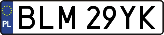 BLM29YK