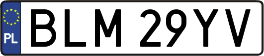BLM29YV