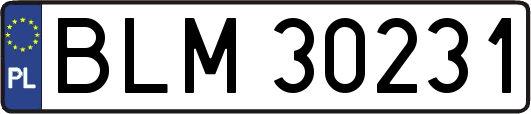 BLM30231