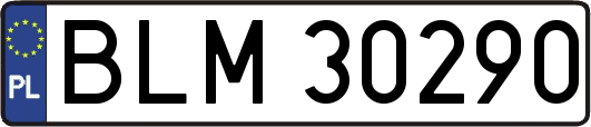 BLM30290