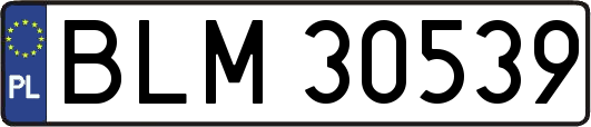 BLM30539