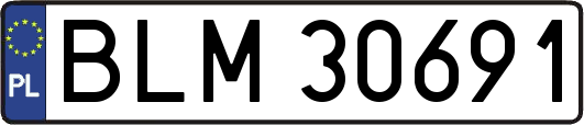 BLM30691