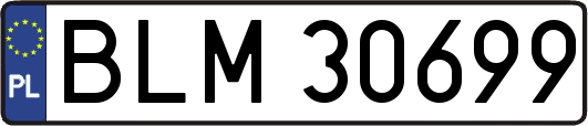 BLM30699