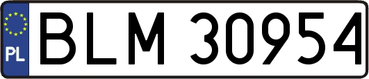 BLM30954