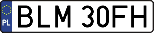 BLM30FH