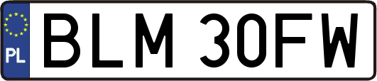 BLM30FW