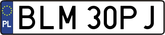 BLM30PJ