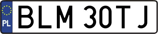 BLM30TJ