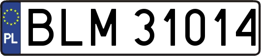 BLM31014