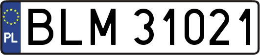 BLM31021