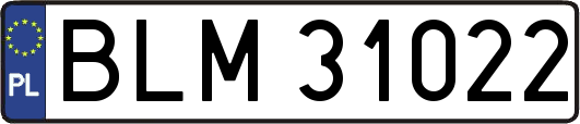 BLM31022