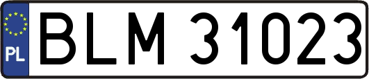 BLM31023