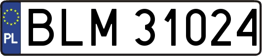 BLM31024