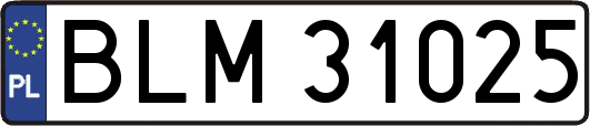 BLM31025