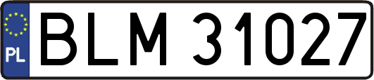 BLM31027