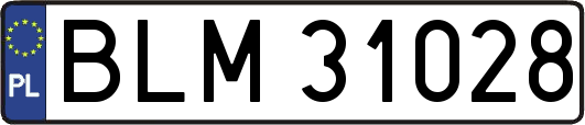 BLM31028