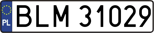 BLM31029
