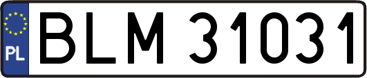 BLM31031