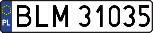 BLM31035