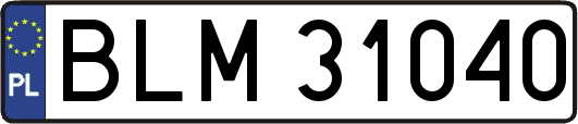 BLM31040