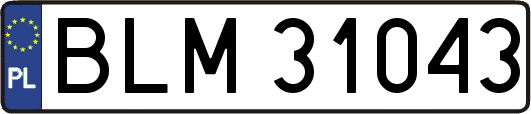 BLM31043