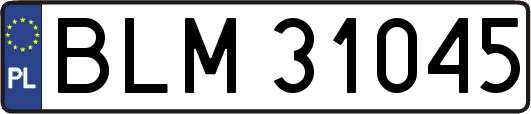 BLM31045