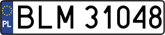 BLM31048