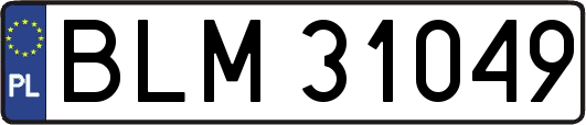 BLM31049
