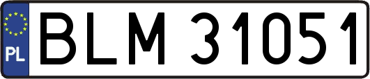 BLM31051