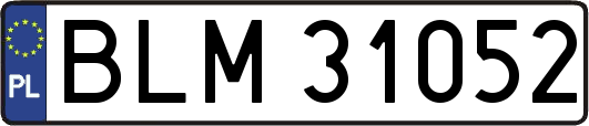 BLM31052